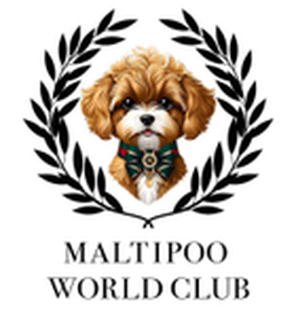 Заявлене комбіноване позначення MALTIPOO WORLD CLUB — стилізований собака в лавровому вінку